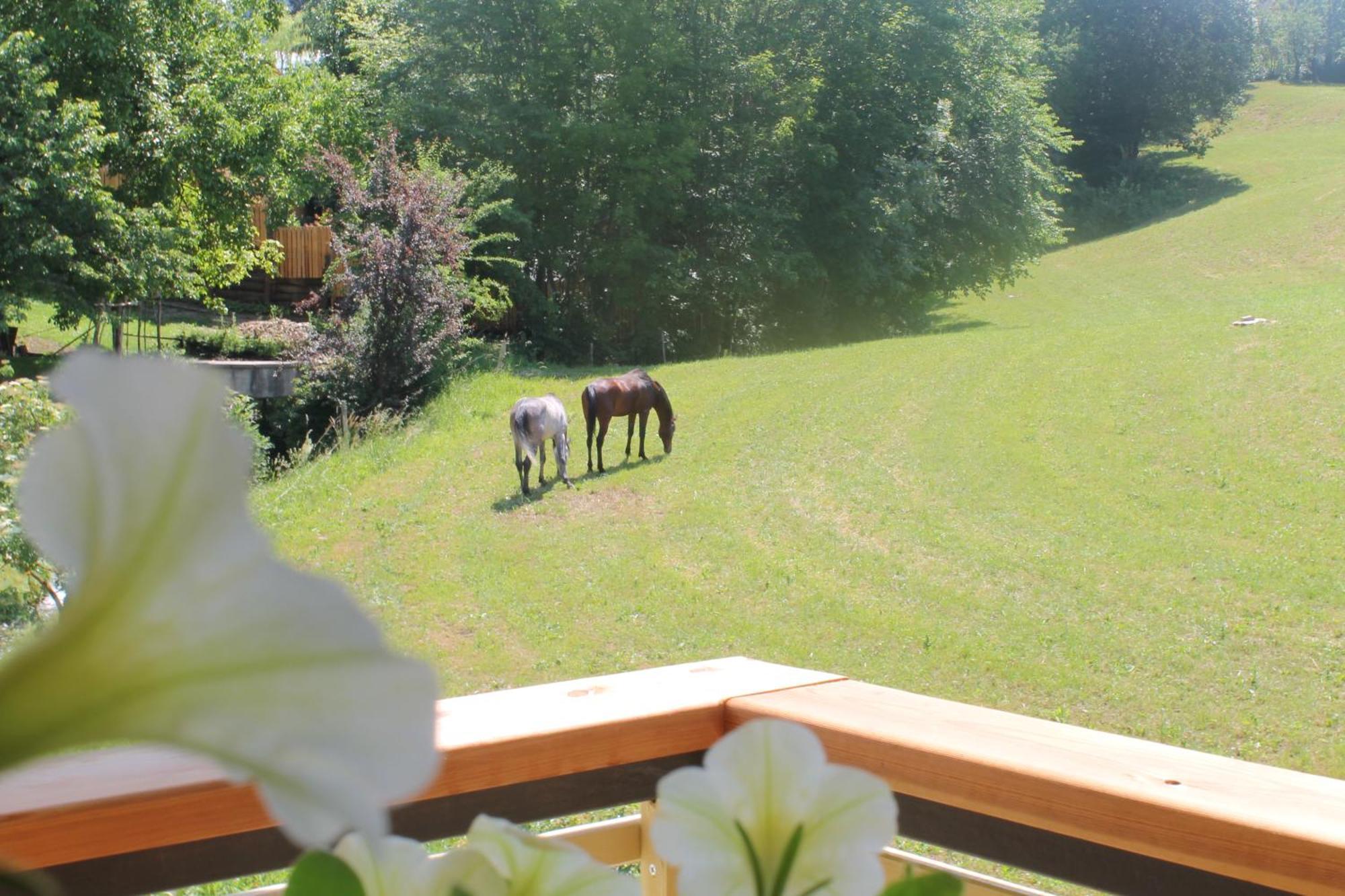 House Gabrijel With Four Seasons Outdoor Kitchen Bled Exterior foto